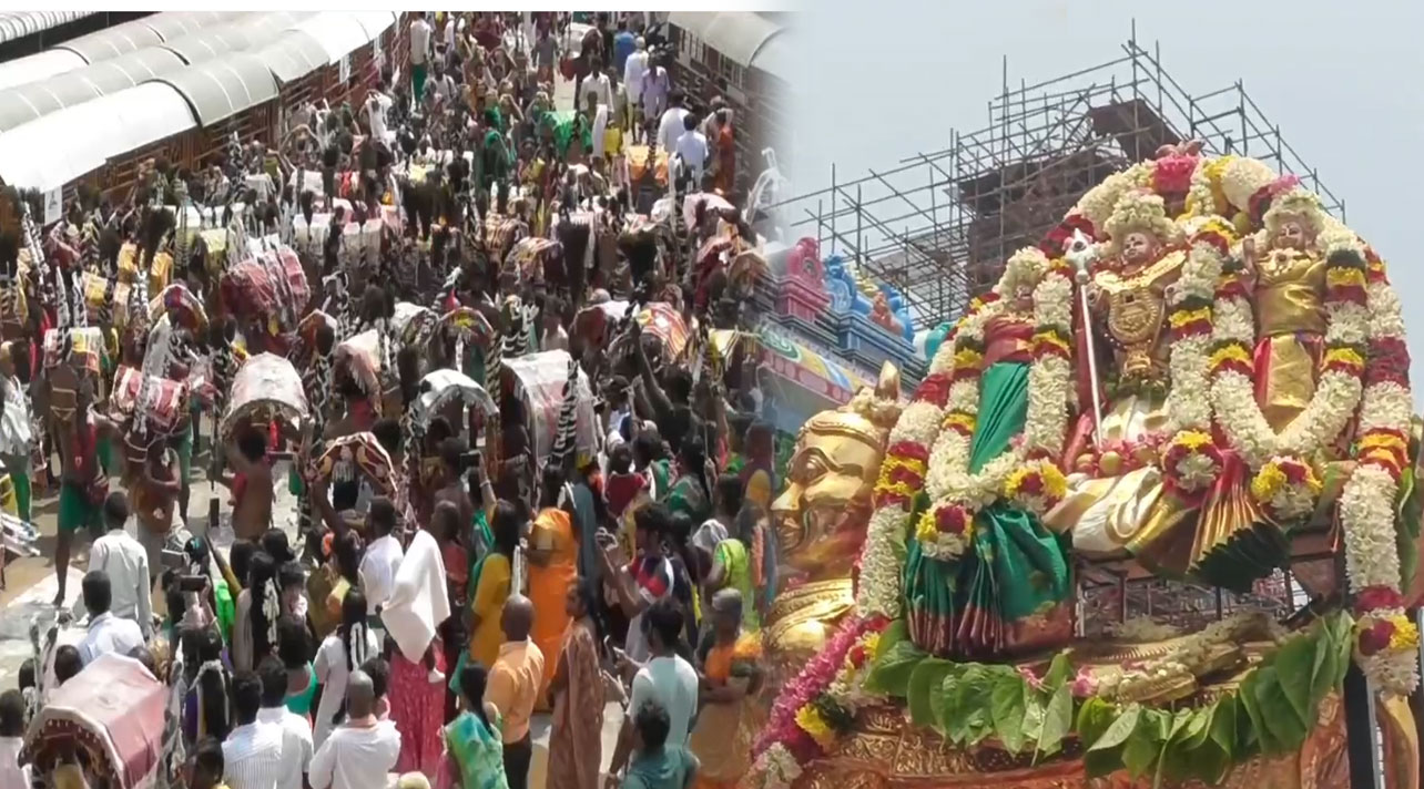  திருத்தணி, மருதமலை முருகன் கோயிலில் பங்குனி உத்திரம் – குவிந்த பக்தர்கள் 