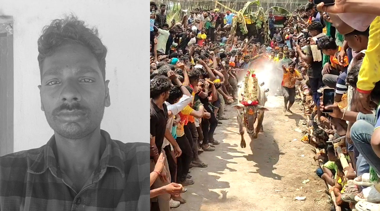  திருவிழாவில் சீறி பாய்ந்த காளைகள்...மாடு முட்டியதில் இளைஞருக்கு நேர்ந்த சோகம்