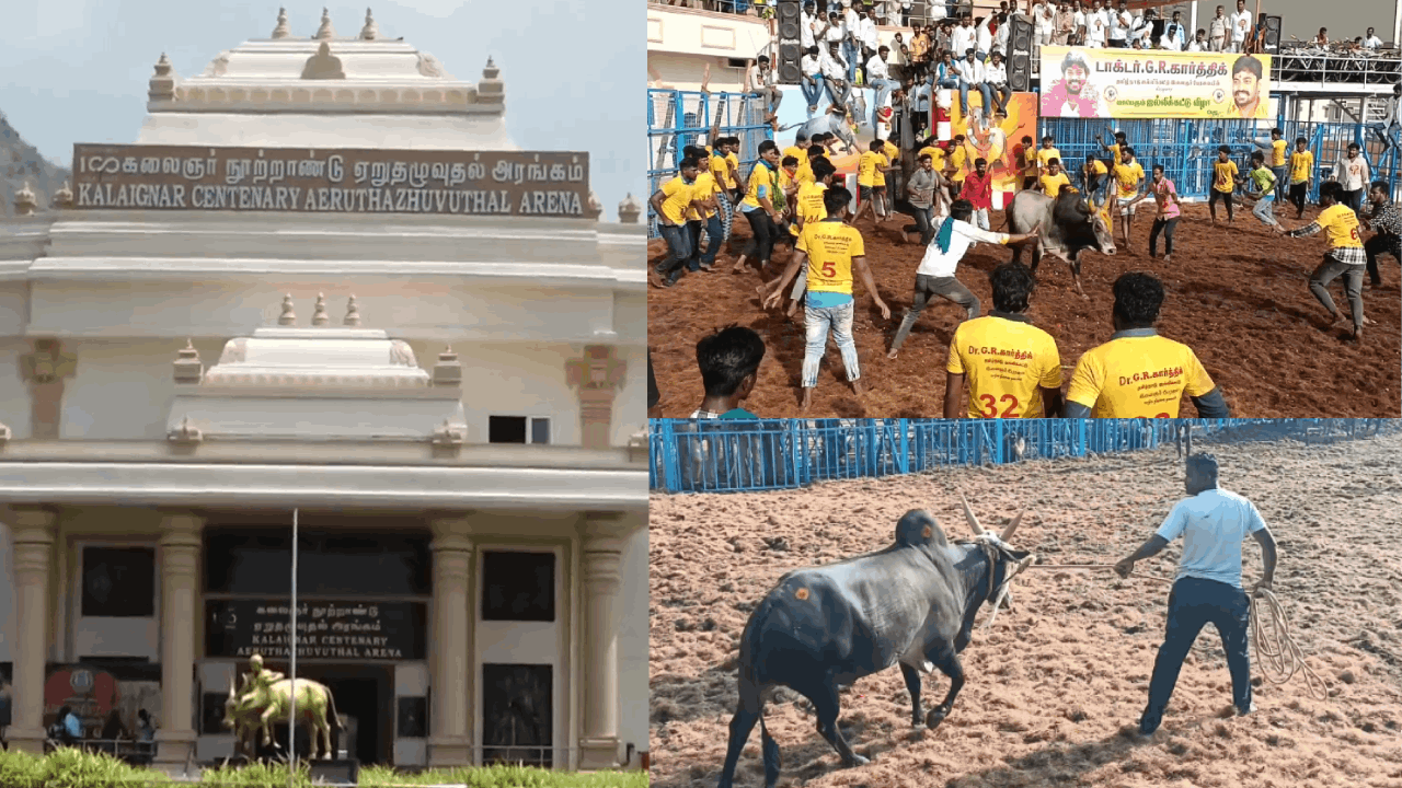அலங்காநல்லூர் ஜல்லிக்கட்டில் ஏற்பட்ட சோகம்..!