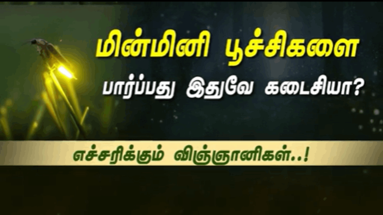 மின்மினி பூச்சிகளை பார்ப்பது இதுவே கடைசியா?  எச்சரிக்கும் விஞ்ஞானிகள்..!
