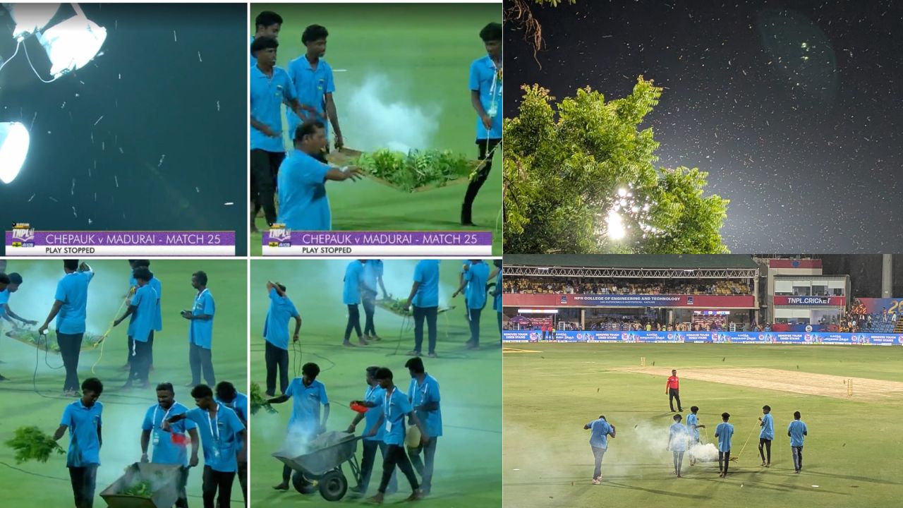 TNPL: மைதானத்திற்குள் புகுந்த பூச்சி.. வேப்பமர இலையால் புகைப்போட்டு விரட்டியடிப்பு