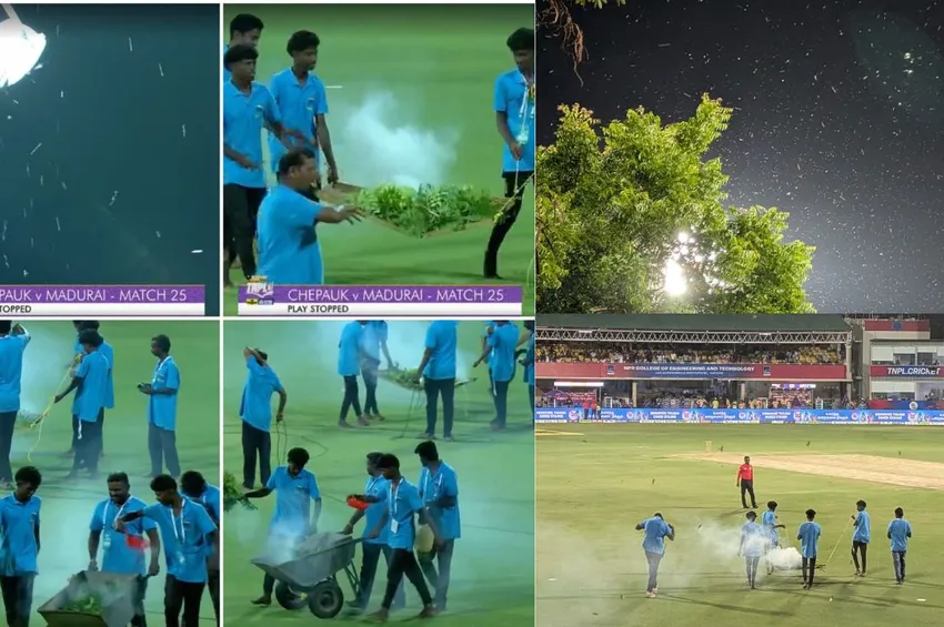 TNPL: மைதானத்திற்குள் புகுந்த பூச்சி.. வேப்பமர இலையால் புகைப்போட்டு விரட்டியடிப்பு