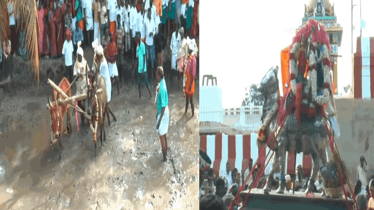  பட்டீசுவரர் கோவிலில் நாற்று நடவு திருவிழா கோலாகலம்.. பக்தர்கள் பங்கேற்பு!