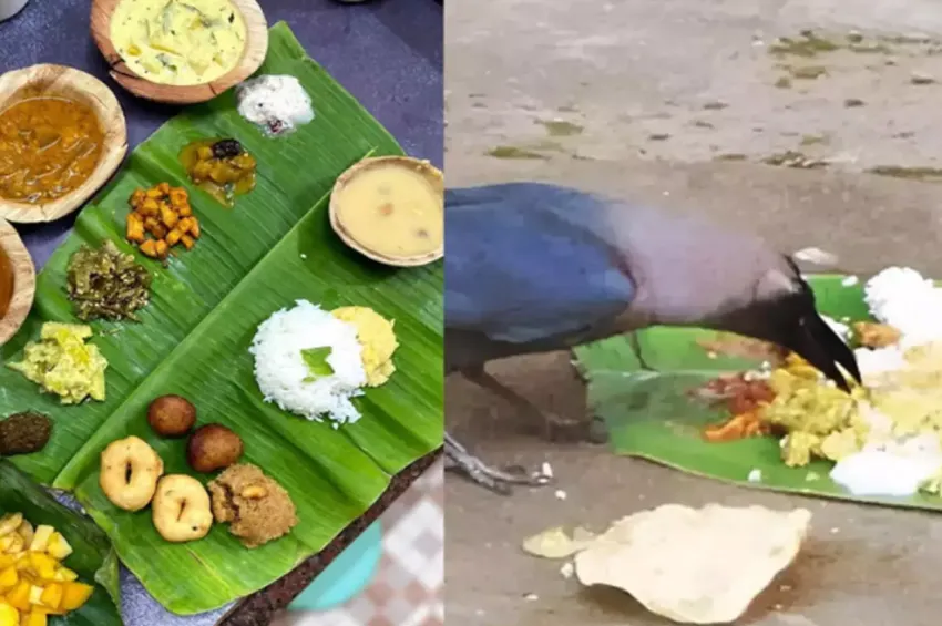ஆடி அமாவாசை படையல்: தவிர்க்கவேண்டிய காய்கள் என்ன?