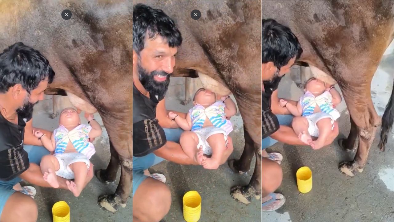 மாட்டின் காம்பிலிருந்து கைக்குழந்தைக்கு நேரடியாக பால்- எச்சரிக்கும் மருத்துவர்கள்