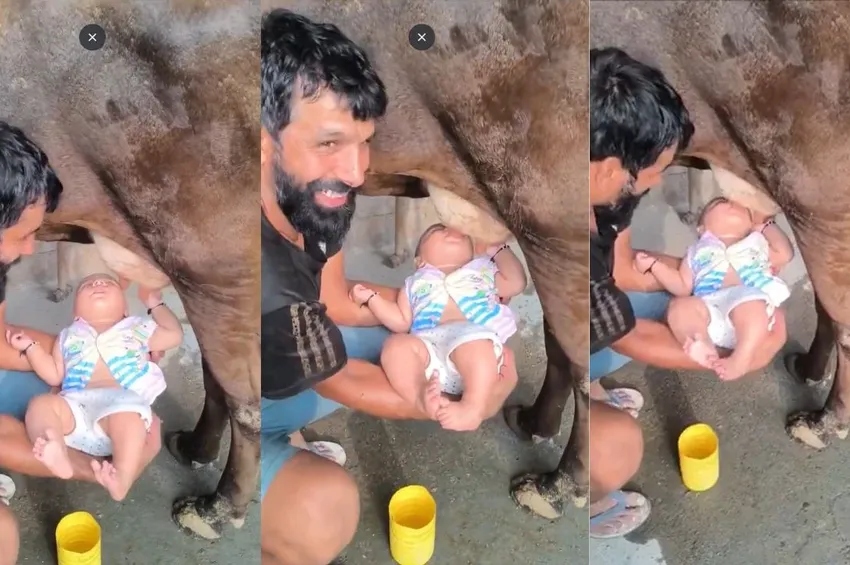 மாட்டின் காம்பிலிருந்து கைக்குழந்தைக்கு நேரடியாக பால்- எச்சரிக்கும் மருத்துவர்கள்