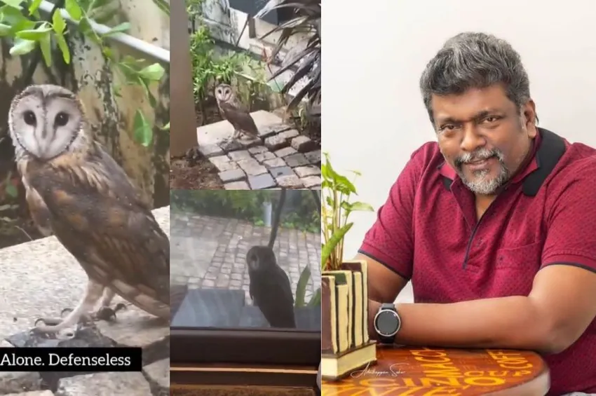 வீட்டிற்குள் வந்த ஆந்தை.. இயக்குநர் பார்த்திபன் செய்த நெகிழ்ச்சி செயல்