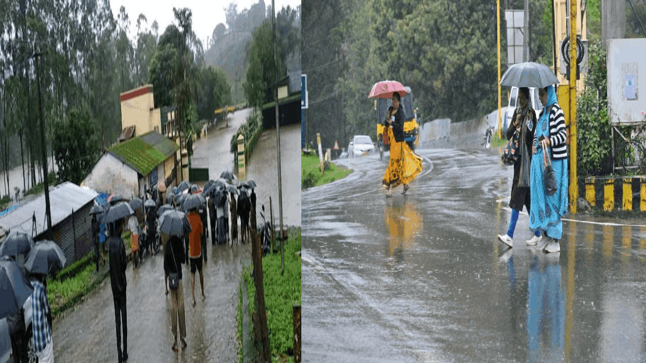 நீலகிரியில் அதி கனமழைக்கான ரெட் அலர்ட்: பள்ளி, கல்லூரிகளுக்கு விடுமுறை!
