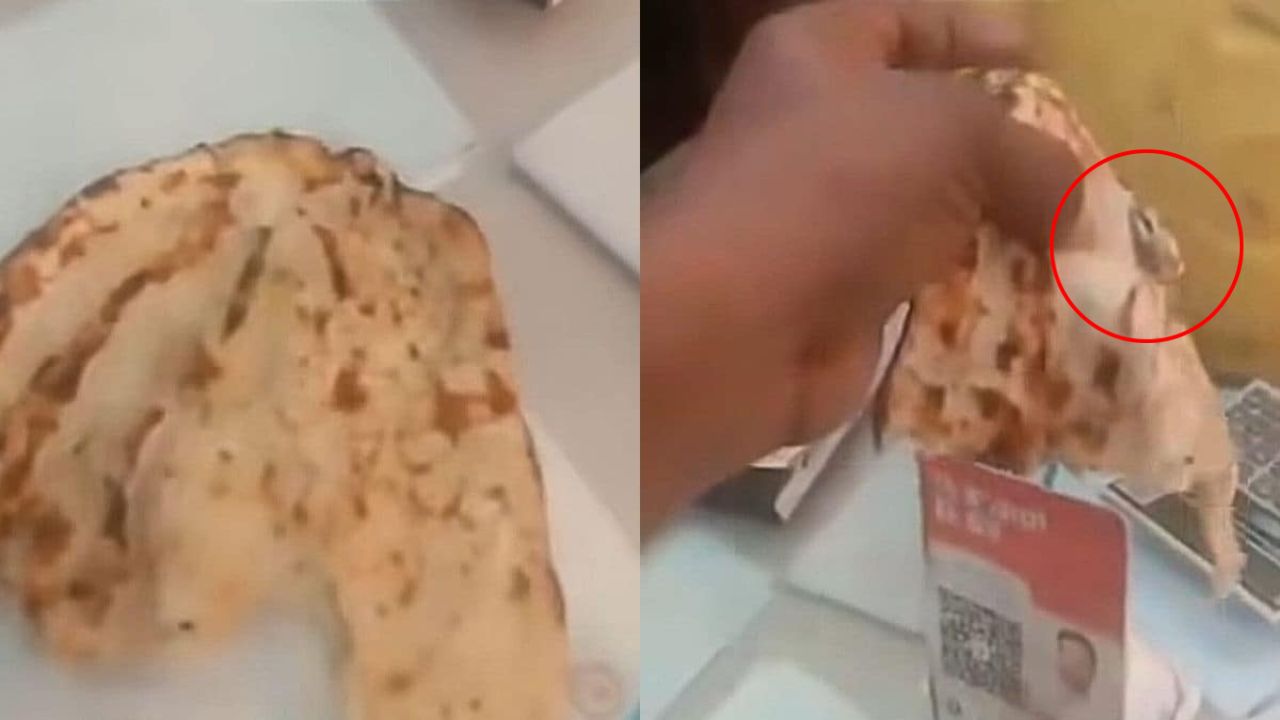 Viral Video: தந்தூரி ரொட்டியில் பல்லி.. உணவகத்துக்கு சீல் வைத்த அதிகாரிகள்!