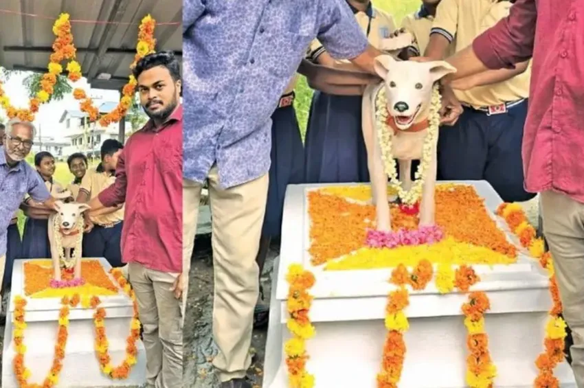 தெரு நாய்க்கு சிலை வைத்த கிராம மக்கள்.. கேரளாவில் நெகிழ்ச்சி!