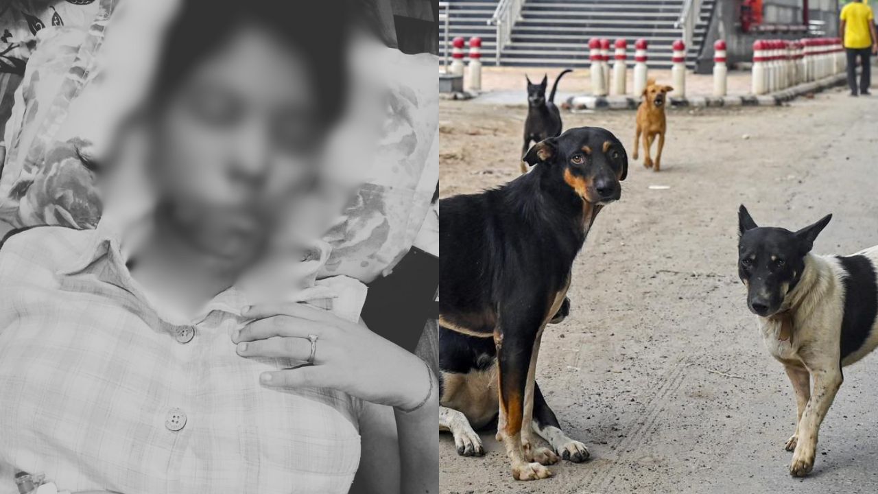 முகத்தில் 17 தையல்கள்.. கல்லூரி மாணவியை கடித்து குதறிய தெருநாய்கள்!
