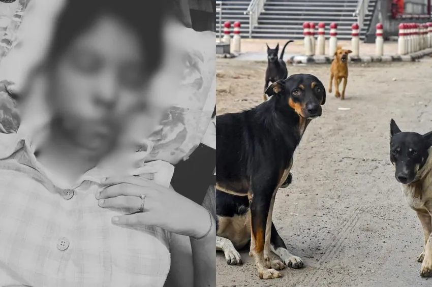 முகத்தில் 17 தையல்கள்.. கல்லூரி மாணவியை கடித்து குதறிய தெருநாய்கள்!