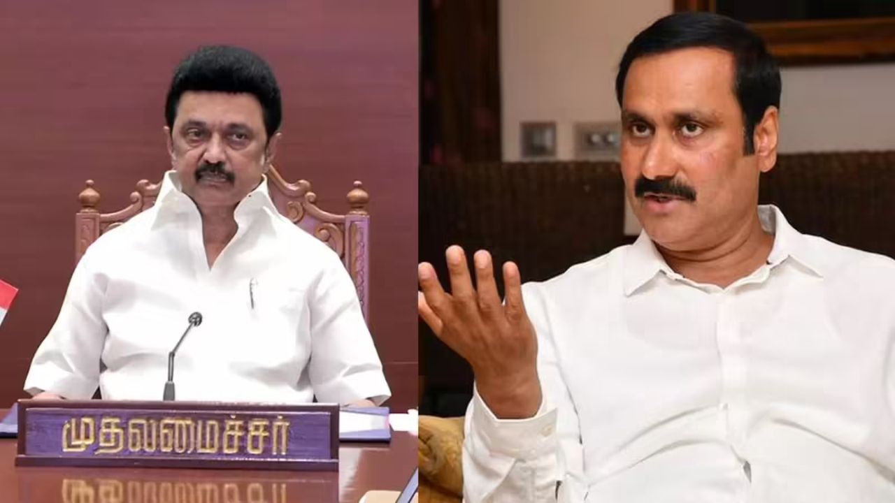 கொக்கு தலையில் வெண்ணெய் வைக்கும் செயல்- முதல்வர் ஸ்டாலினை விமர்சித்த அன்புமணி!