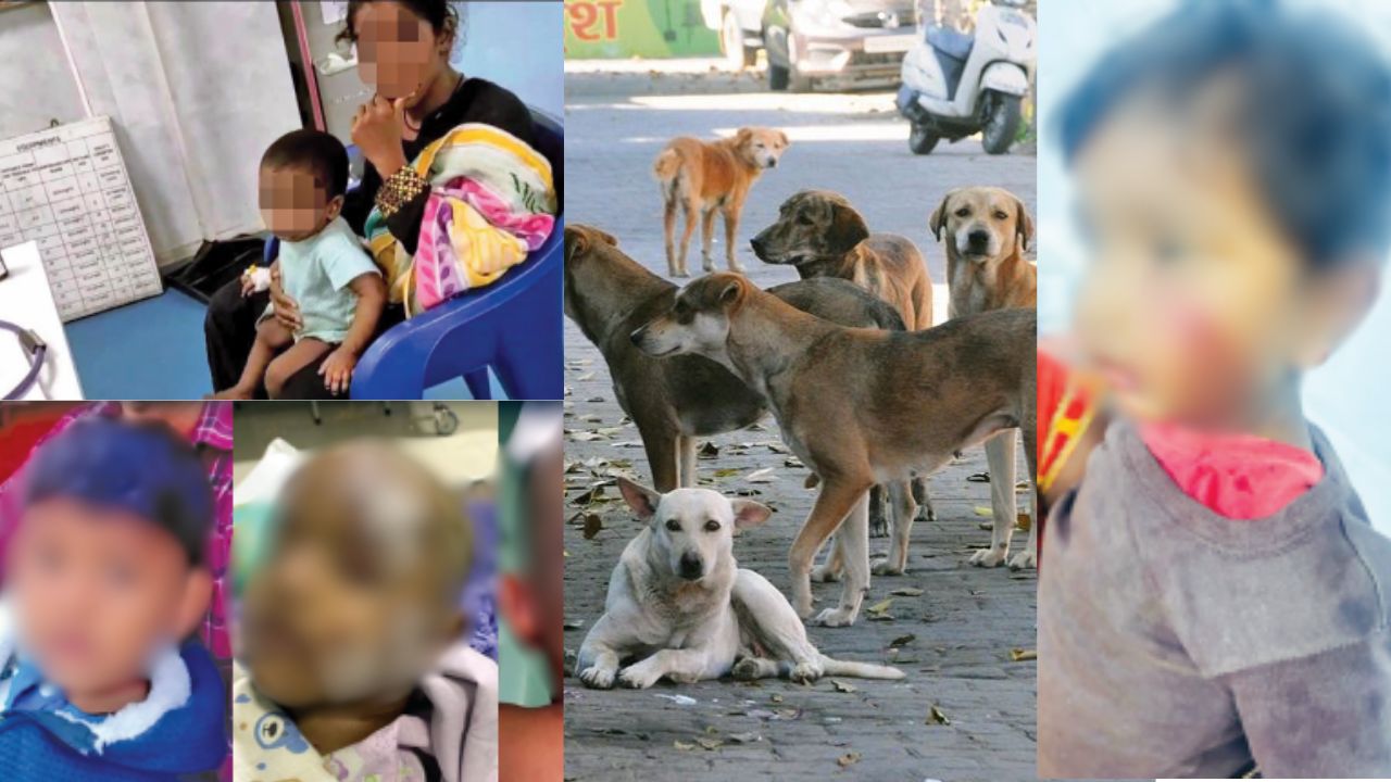 உயிர் குடிக்கும் தெருநாய்கள்.. துடிதுடிக்கும் குழந்தைகள்: கண்டுகொள்ளாத அரசுகள்!