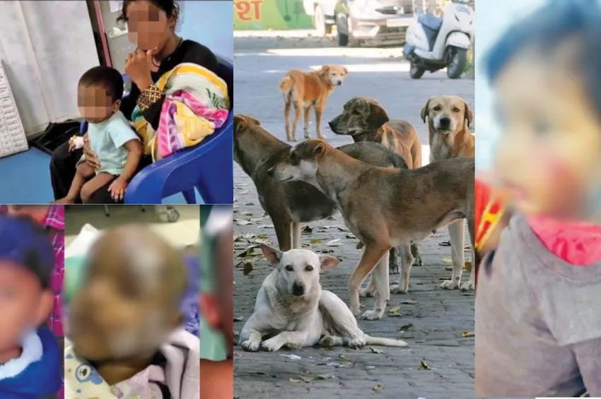 உயிர் குடிக்கும் தெருநாய்கள்.. துடிதுடிக்கும் குழந்தைகள்: கண்டுகொள்ளாத அரசுகள்!
