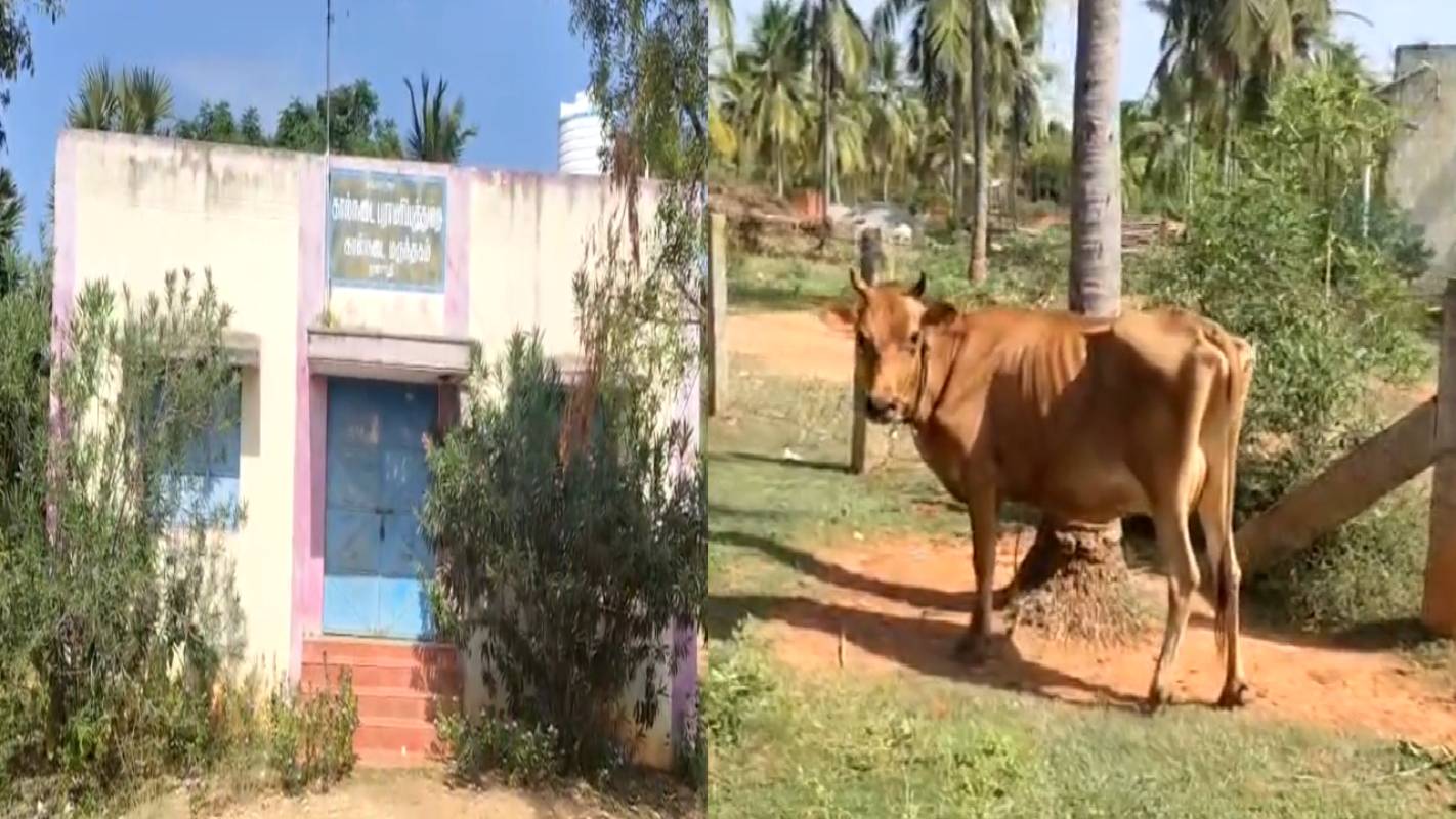  கால தாமதமாகத் திறக்கப்படும் கால்நடை மருத்துவமனை: விவசாயிகள் அதிருப்தி! 