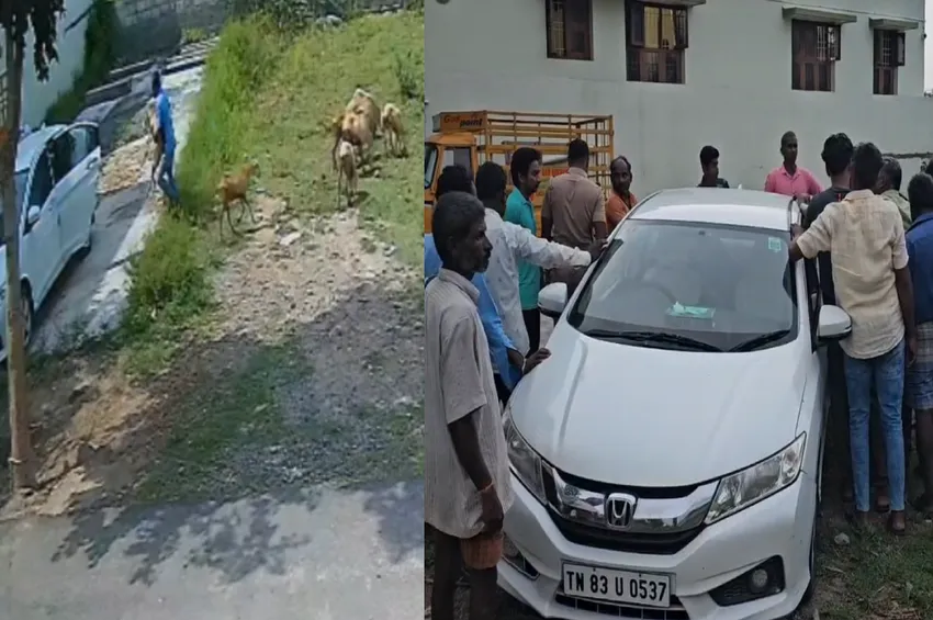 வாணியம்பாடியில் ஆடுகளை காரில் திருடிச்சென்ற வழக்கறிஞர் கைது 