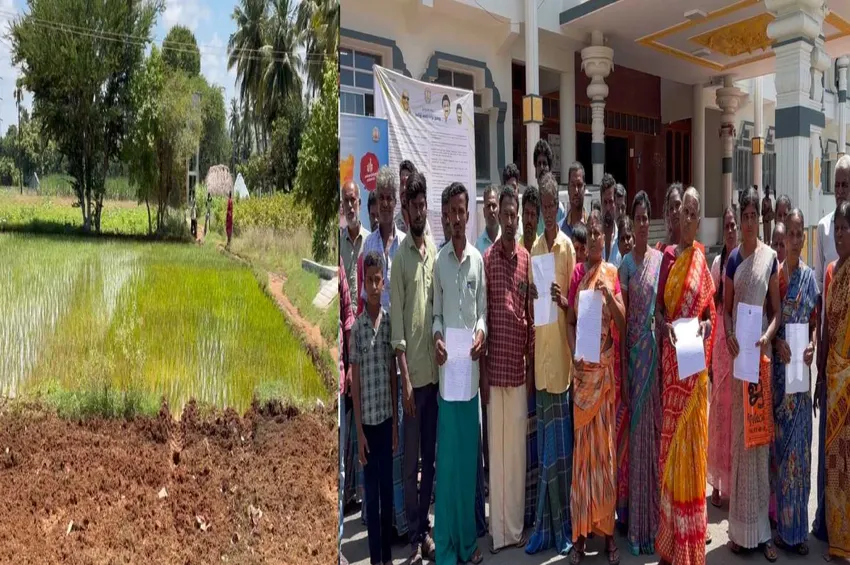 சாலையை ஆக்கிரமித்து நெல் பயிரிட்ட விசிக பிரமுகர்கள்: பொதுமக்கள் ஆத்திரம் - மாவட்ட ஆட்சியரிடம் பரபரப்புப் புகார்! 