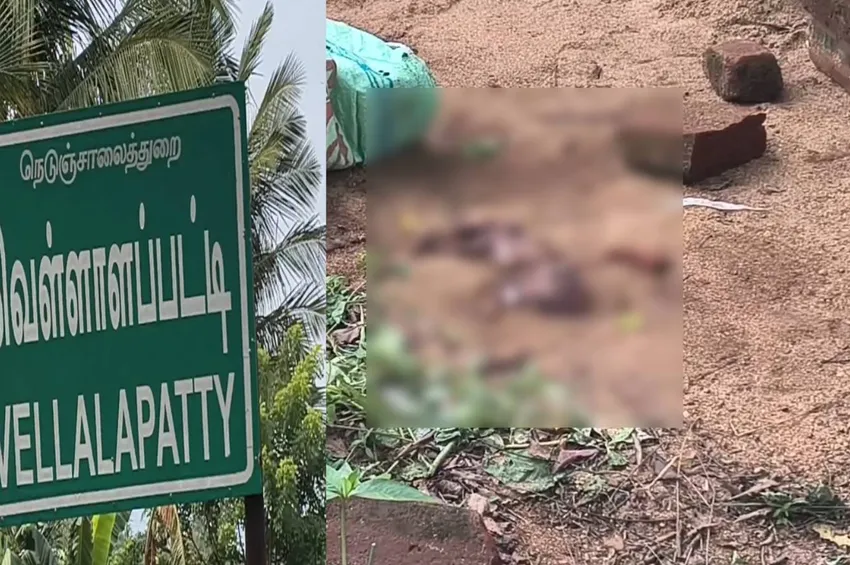  ராசிபுரத்தில் கொடூரம்! 7 மாத ஆண் சிசு புதைக்கப்பட்ட சம்பவம்; நரபலியா? கருக்கலைப்பா? மர்மம் விலகுமா? 