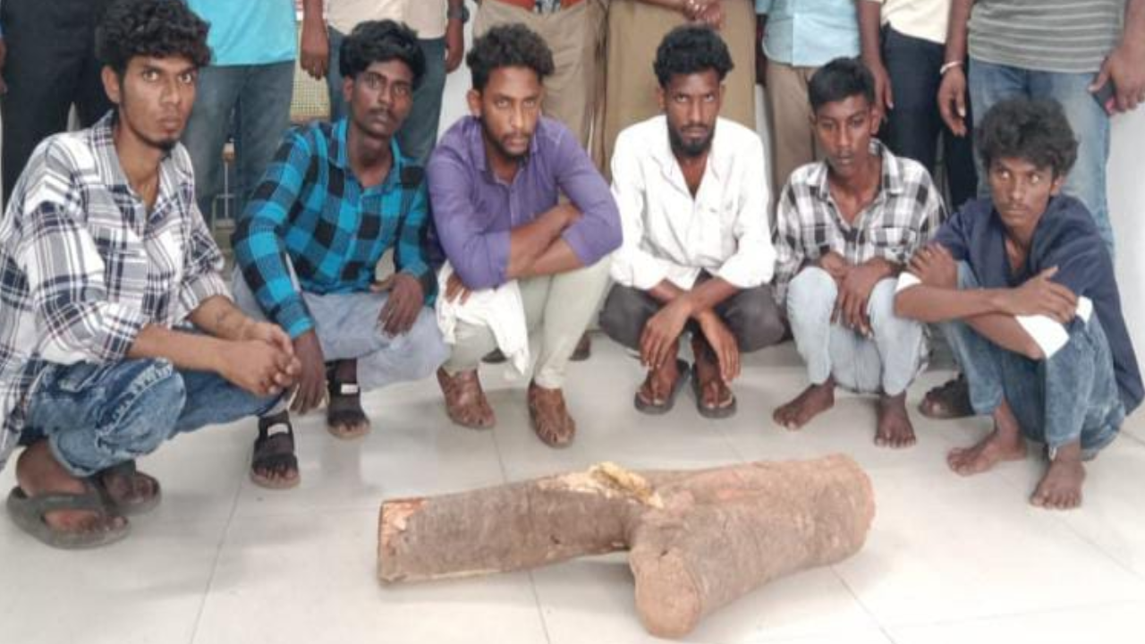  கோவையில் ரயிலை கவிழ்க்க சதி- 6 பேர் கைது