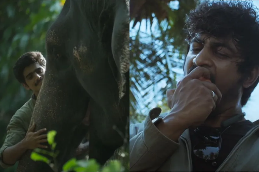 Born Again: 'கும்கி 2' படத்தின் டீசர் வெளியானது!