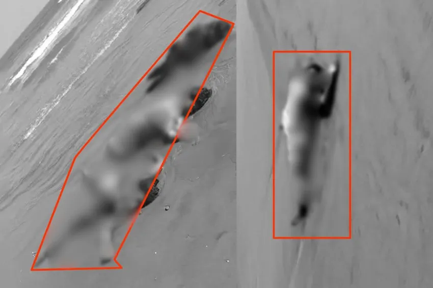 கரை ஒதுங்கிய பெண்களின் சடலங்கள்.. சென்னை அருகே பரபரப்பு!