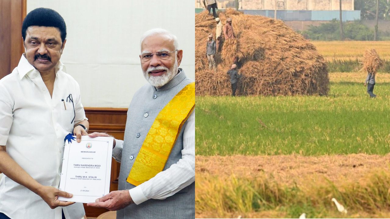 நெல் கொள்முதலுக்கான ஈரப்பத அளவை உயர்த்த வேண்டும்- பிரதமர் மோடிக்கு முதல்வர் ஸ்டாலின் கடிதம்!