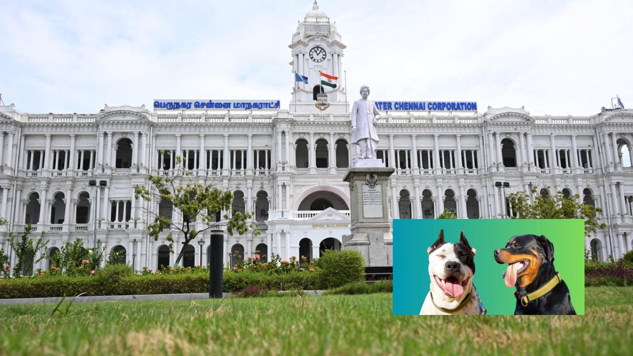 சென்னை மக்கள் கவனத்திற்கு.. வீட்டில் நாய் வளர்த்தால் ரூ 1 லட்சம் அபாரதம்!