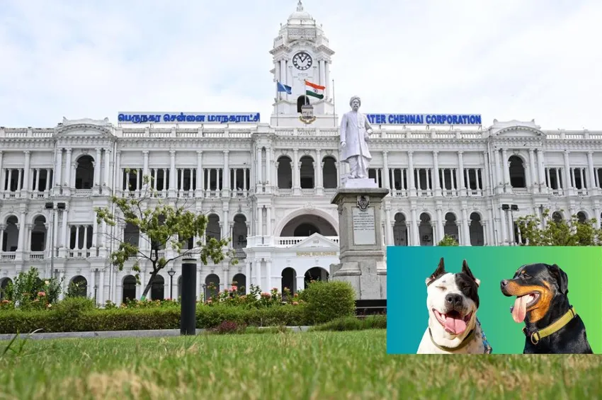 சென்னை மக்கள் கவனத்திற்கு.. வீட்டில் நாய் வளர்த்தால் ரூ 1 லட்சம் அபாரதம்!