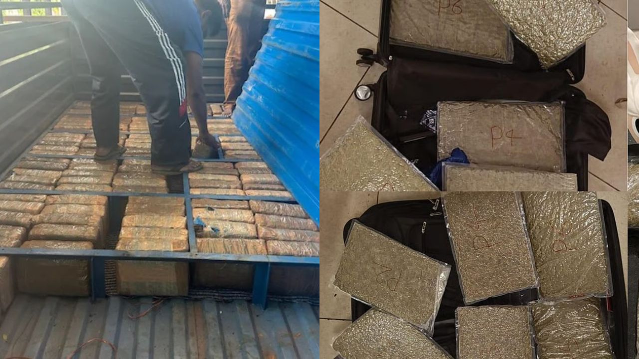 ஒரே ஆண்டில் 2 ஆயிரம் கிலோ கஞ்சா பறிமுதல்.. ரூ.14 கோடி சொத்துக்கள் முடக்கம்!