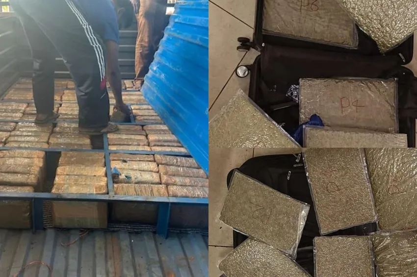 ஒரே ஆண்டில் 2 ஆயிரம் கிலோ கஞ்சா பறிமுதல்.. ரூ.14 கோடி சொத்துக்கள் முடக்கம்!