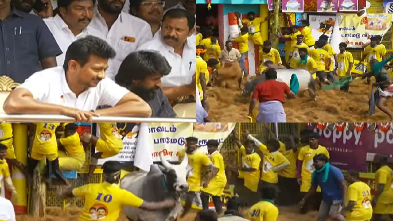 பாலமேடு ஜல்லிக்கட்டு: வாடிவாசலில் சீறிப்பாயும் காளைகள்.. களைகட்டும் வீர விளையாட்டு!