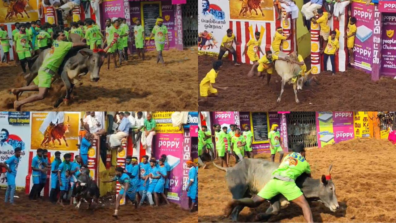 சீறிப்பாயும் காளைகள்.. அதிரும் வாடிவாசல்: அலங்காநல்லூர் ஜல்லிக்கட்டுப் போட்டி தொடக்கம்!