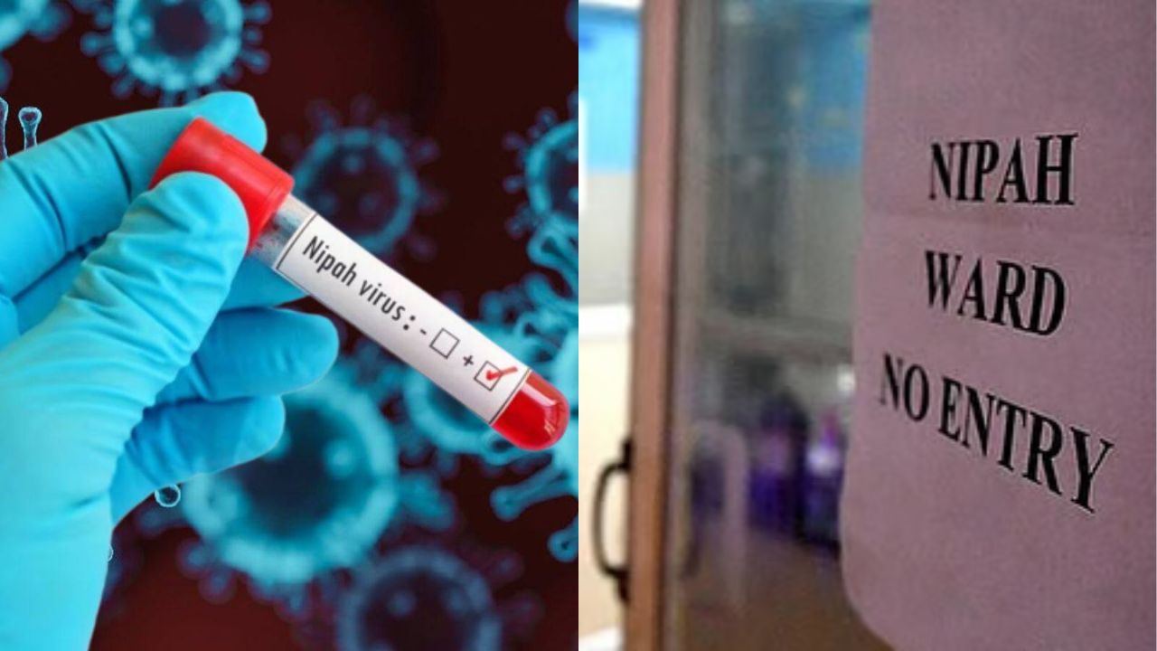 நிபா வைரஸ் எச்சரிக்கை: இதை மட்டும் பண்ணாதீங்க.. சுகாதாரத்துறை அறிவுறுத்தல்!