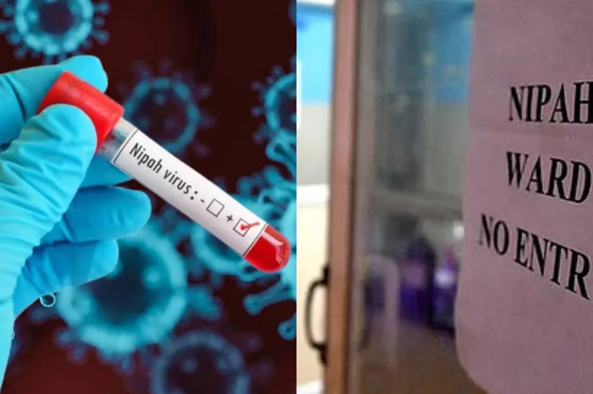 நிபா வைரஸ் எச்சரிக்கை: இதை மட்டும் பண்ணாதீங்க.. சுகாதாரத்துறை அறிவுறுத்தல்!
