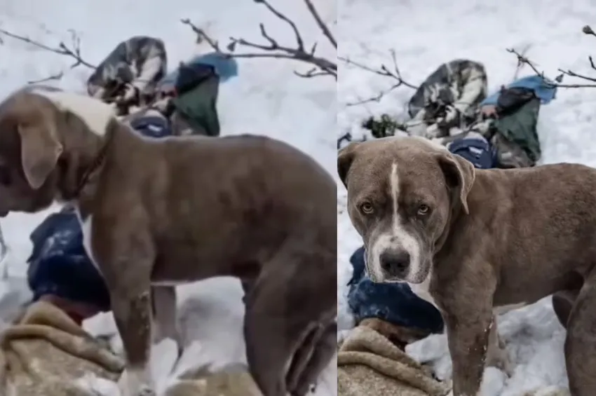 உறைபனியிலும் குறையாத அன்பு.. உயிரிழந்த எஜமானரை விட்டுப் பிரியாமல் காவல் காத்த நாய்!