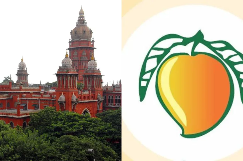 மாம்பழம் சின்னம் விவகாரம்: 3 வாரங்களில் பதிலளிக்கத் தேர்தல் ஆணையத்திற்கு உயர்நீதிமன்றம் உத்தரவு!