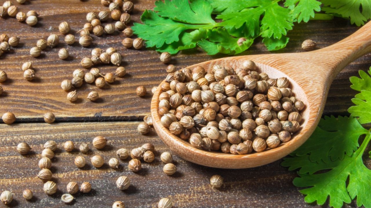 உடல் எடையைக் குறைக்க உதவும் 'தனியா': அதிசய நன்மைகளும் பயன்படுத்தும் முறைகளும்!