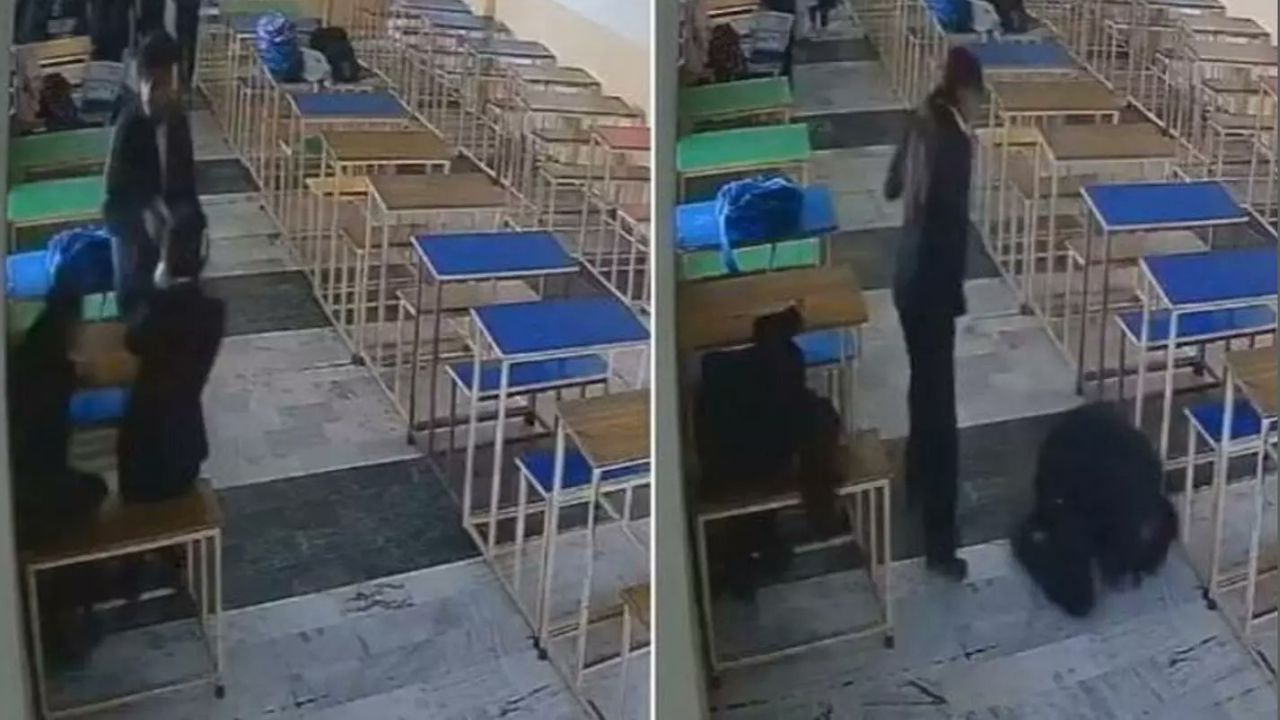 பஞ்சாப் சட்டக் கல்லூரியில் பயங்கரம்: சக மாணவியைச் சுட்டுக்கொன்று மாணவர் தற்கொலை முயற்சி!