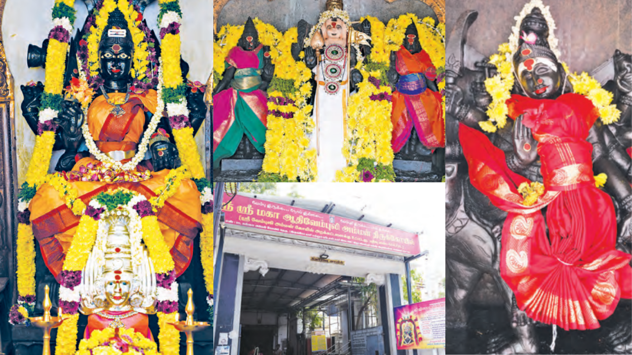 வேம்பின் கீழ் வெளிப்பட்ட அன்னை... பக்தர்களை காக்கும் வேம்புலி அம்மன்!