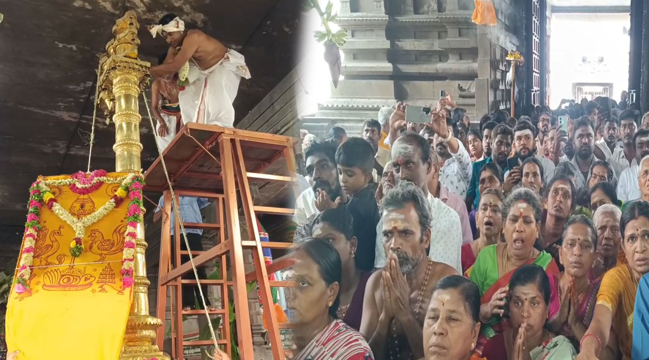 பழனியில் பங்குனி உத்திரத் திருவிழா கொடியேற்றம்...குவிந்த பக்தர்கள்