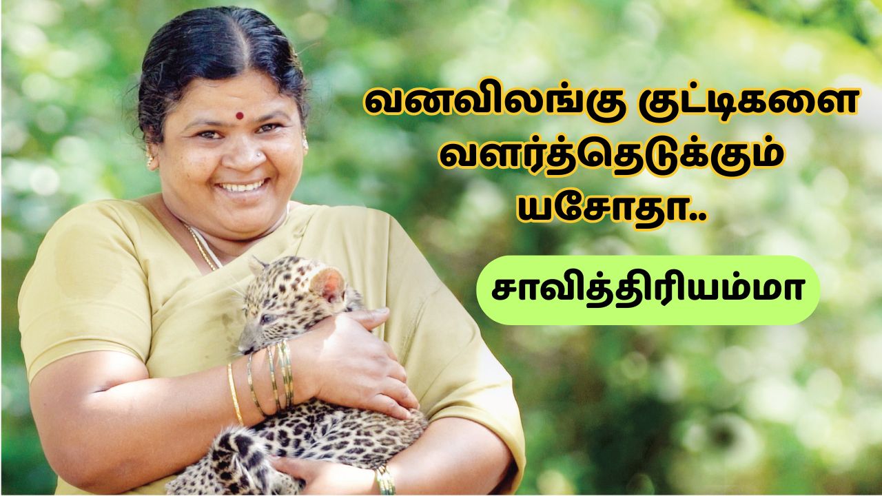 வனவிலங்கு குட்டிகளை வளர்த்தெடுக்கும் சாவித்திரியம்மா: பன்னேர்கட்டா பூங்காவின் யசோதா