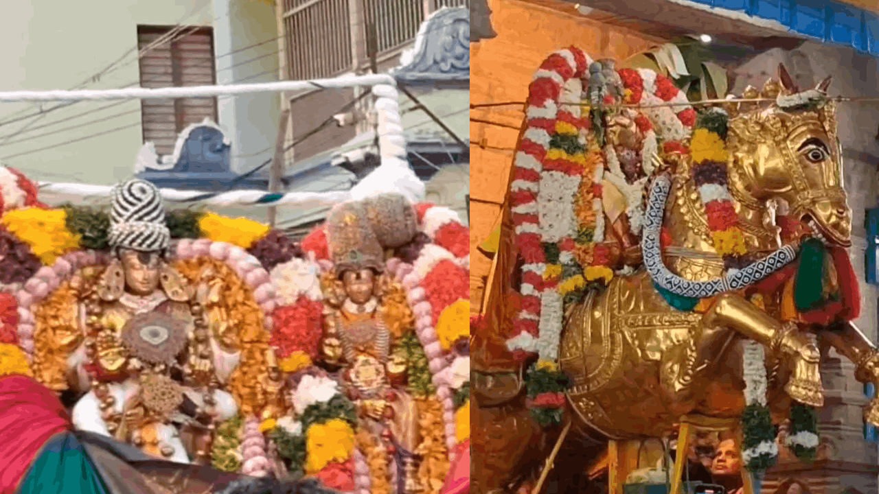 சித்திரை திருவிழா... தங்ககுதிரை வாகனத்தில் எழுந்தருளிய மீனாட்சி சுந்தரேஸ்வரர்!
