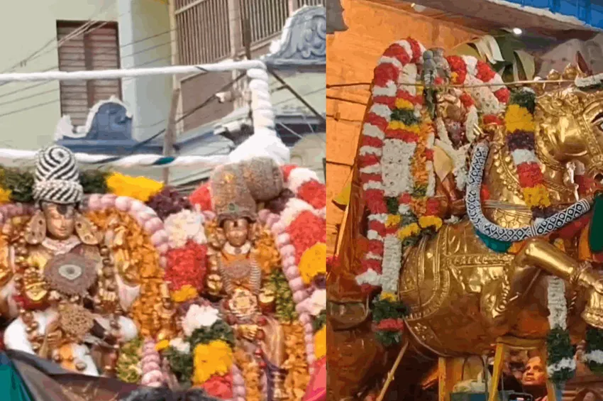 சித்திரை திருவிழா... தங்ககுதிரை வாகனத்தில் எழுந்தருளிய மீனாட்சி சுந்தரேஸ்வரர்!