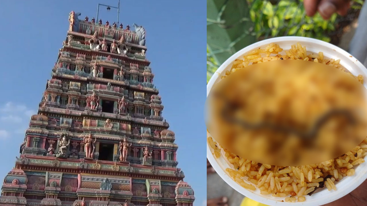 ஓசூரில் கோயில் பிரசாதத்தில் பாம்பு....பக்தர்கள் அதிர்ச்சி