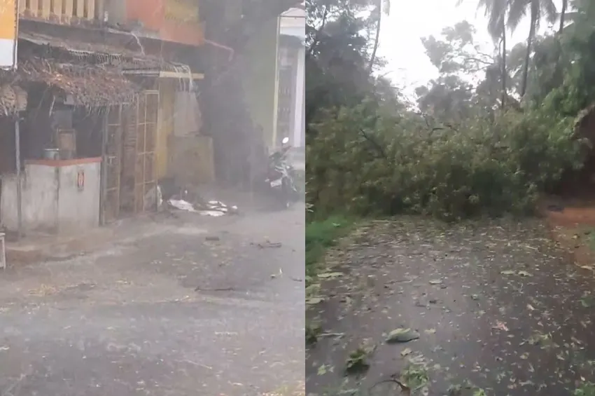  வேலூரில் திடீரென பெய்த ஆலங்கட்டி மழை..வெப்பம் தணிந்ததால் மக்கள் மகிழ்ச்சி 