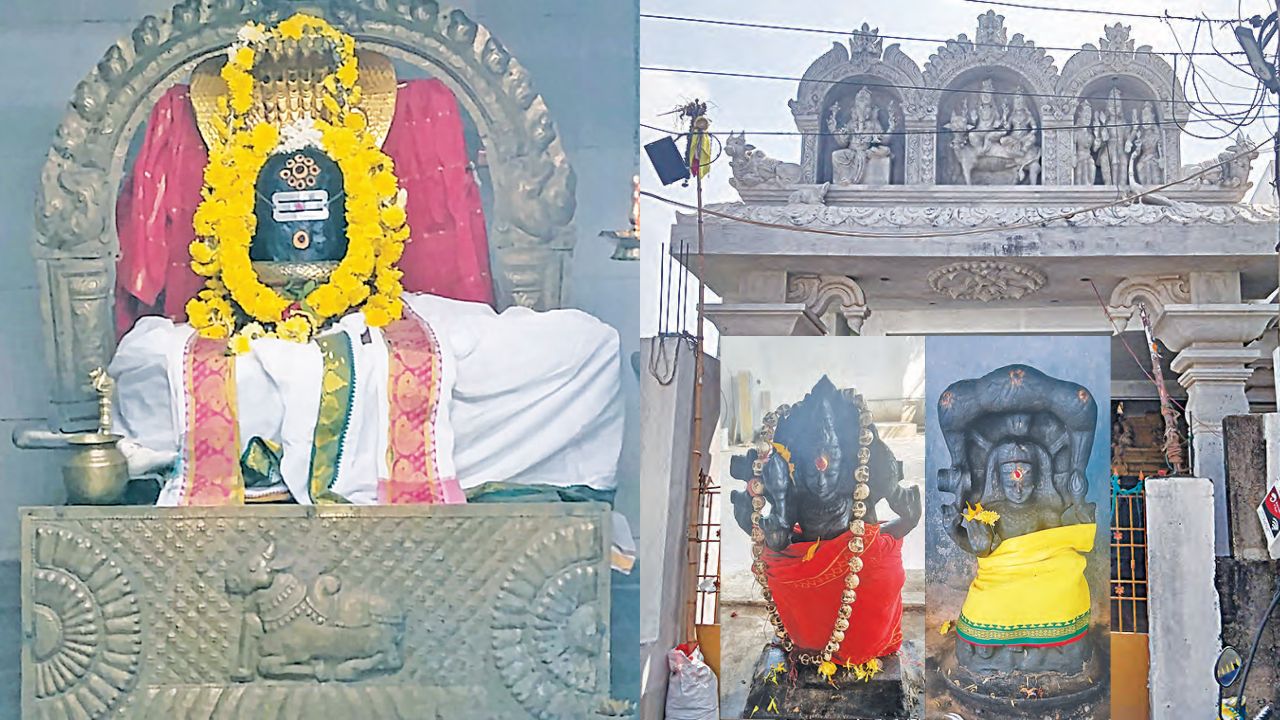 பால் நீல நிறமாகும் அதிசய சிவன் கோயில்- எங்கே இருக்கிறது?