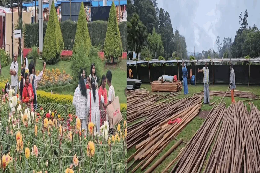  கொடைக்கானல் பிரையண்ட் பூங்காவில் 62-வது மலர் கண்காட்சி..! 