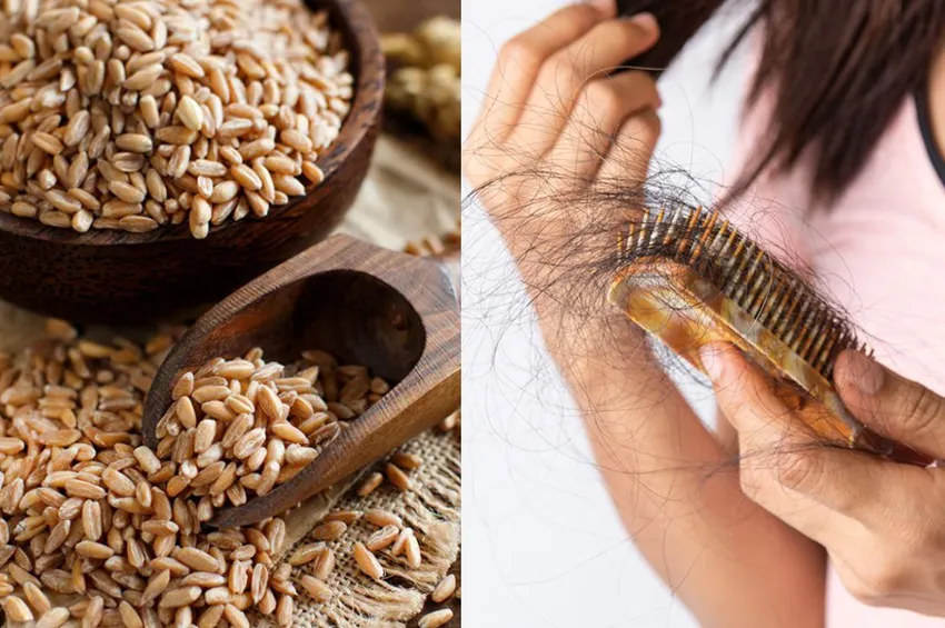 கோதுமை சாப்பிட்டால் தலைமுடி கொட்டுமா? டாக்டர் ரவிக்குமார் விளக்கம்