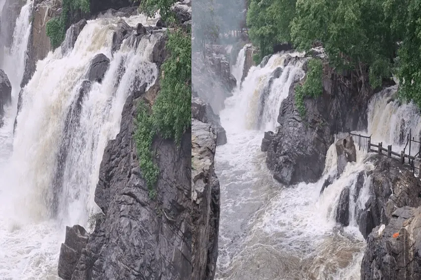 ஒகேனக்கல் ஆற்றில் பெருக்கெடுத்த காவிரி – வினாடிக்கு 8 ஆயிரம் கனஅடி நீர் அதிகரிப்பு